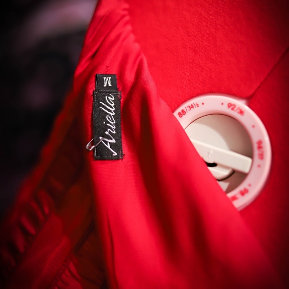 Ariella Red Pleated Satin and Tulle Dress - Picture 4 of 5